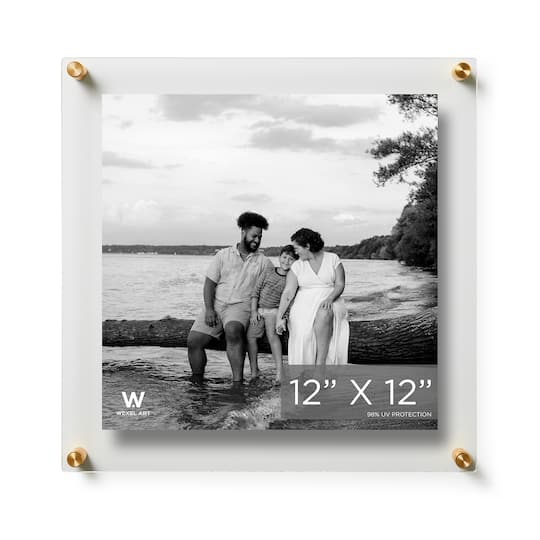 Wexel Art Double Panel Clear Acrylic Floating Wall Frame with Gold Hardware